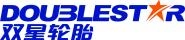  Doublestar Winterking DW16 235/65 R18 106S